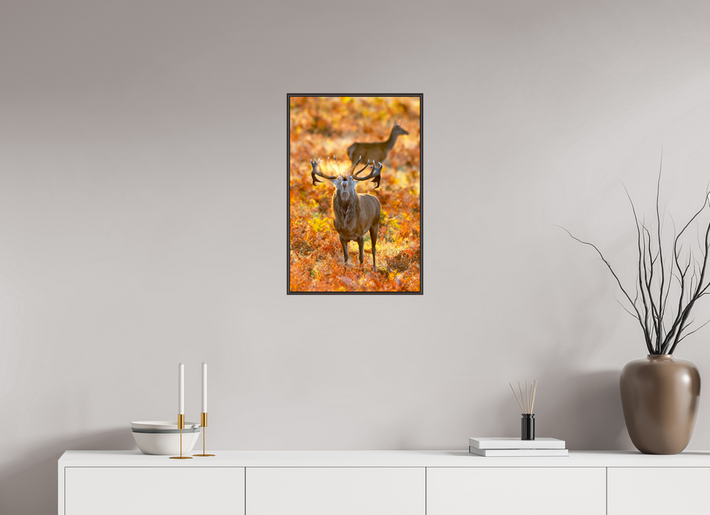 40 x 60 cm, Brown Floater Frame Deer R