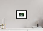 15 x 10 cm, Black Frames Rivelin Valley Water Fall