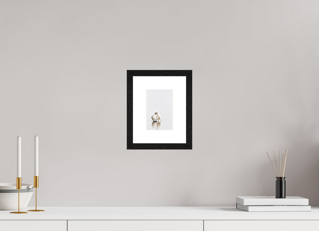 10 x 14.9 cm, Black Frames Swan at Dawn