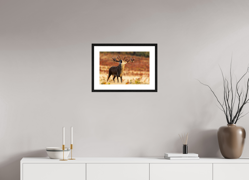 45 x 30 cm, Black Frames deer