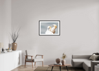 75 x 50 cm, Black Frames Ganetts