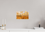 30 x 20 cm, Photo Print Under Acrylic Glass Golden Aspen Trees Fine Art