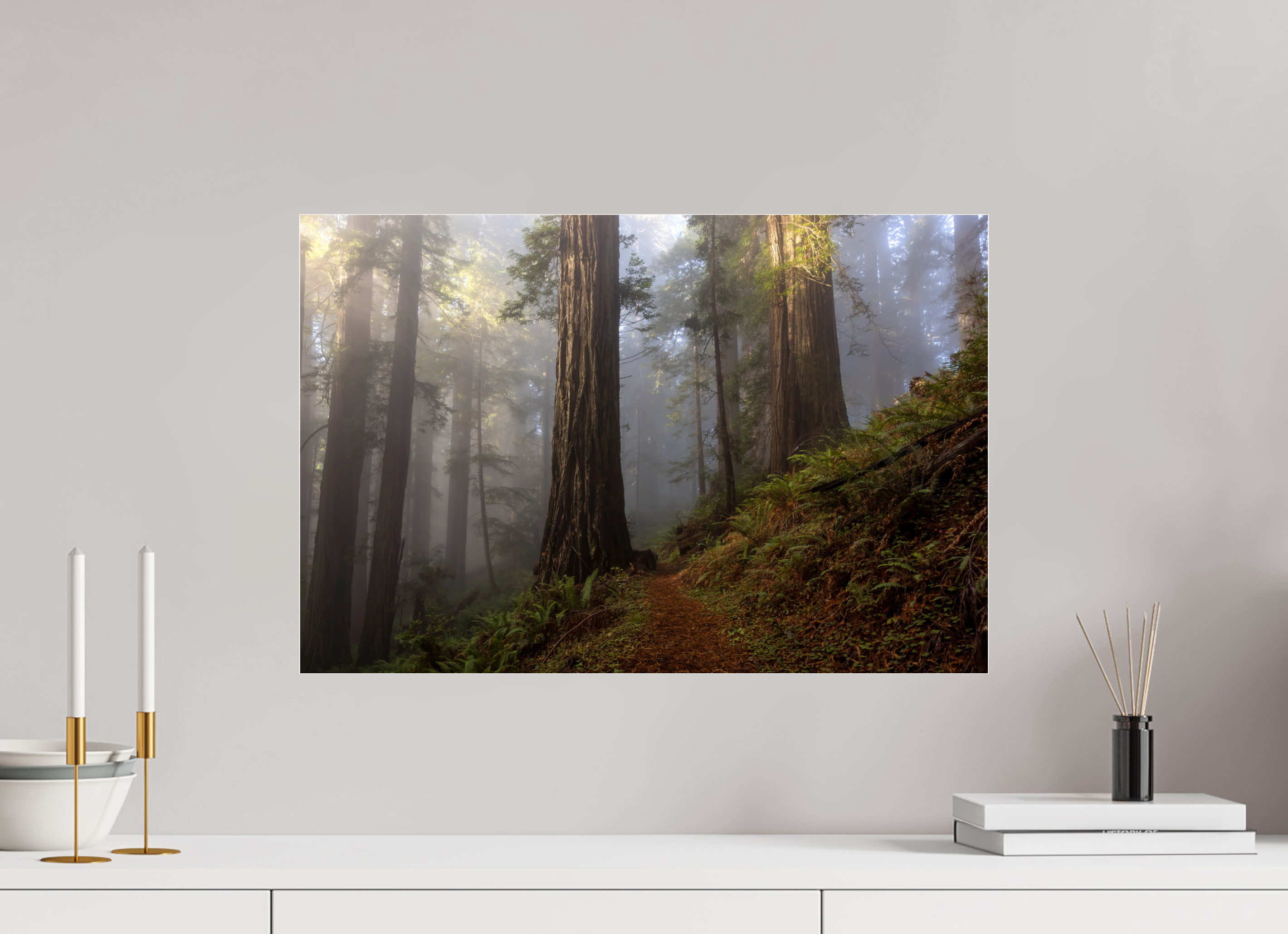 60 x 40 cm, Photo Print Under Acrylic Glass Redwood