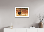 60 x 40 cm, Black Frames deer