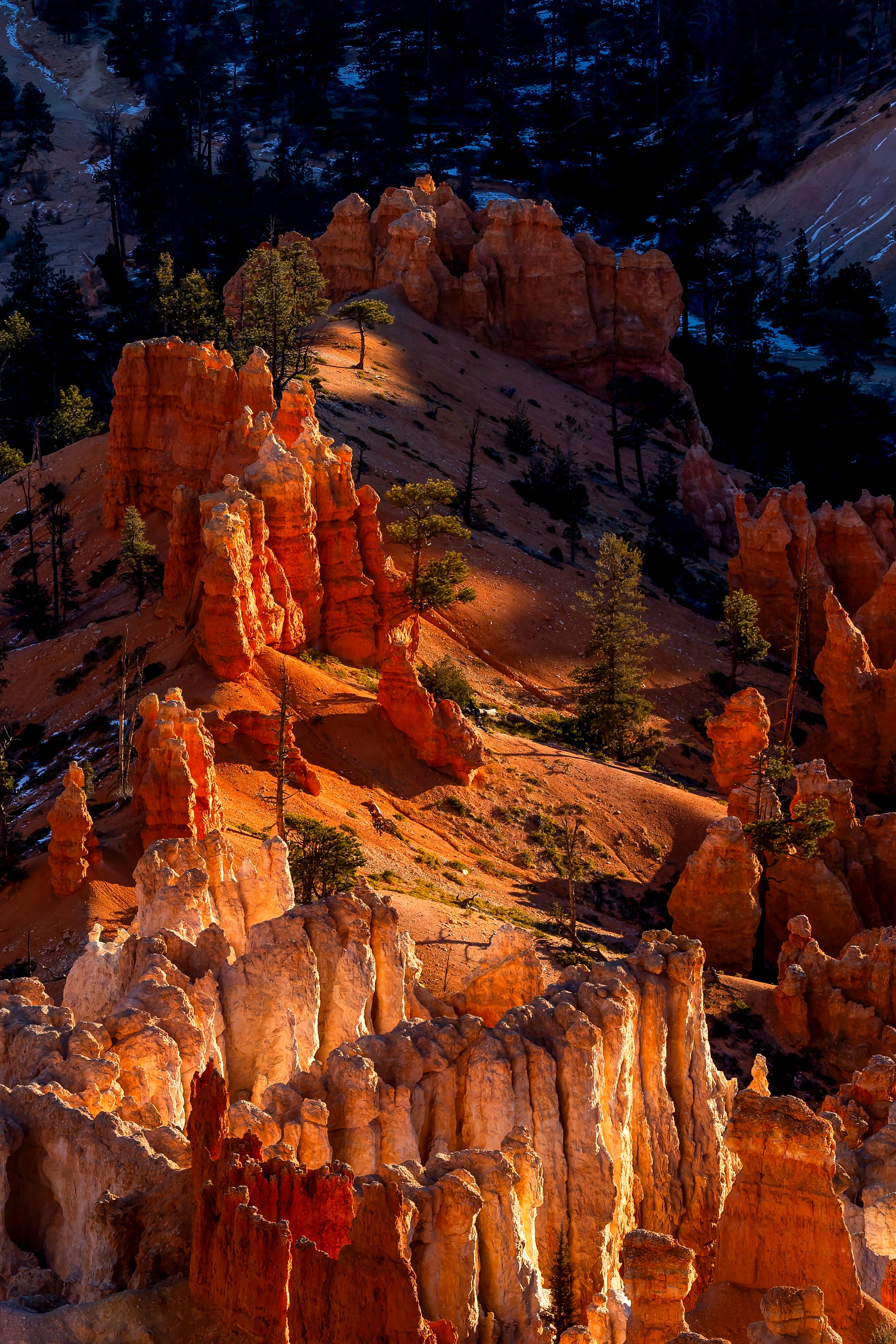 Rocks formations in a desert landscape with trees at Bryce Canyon
