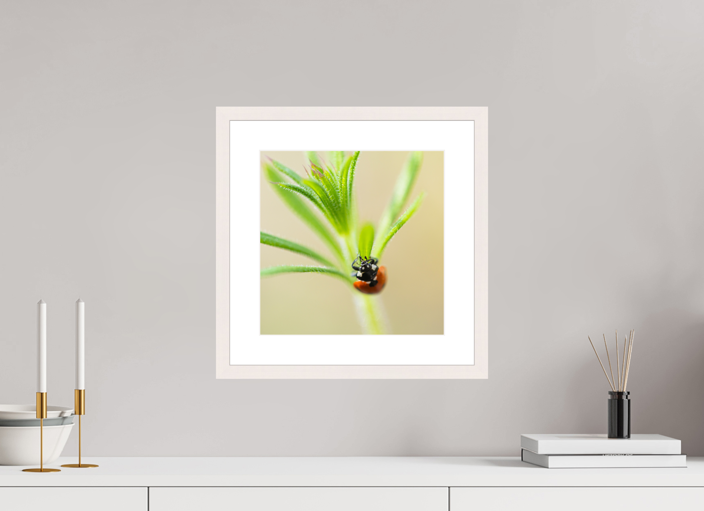 LadyBug