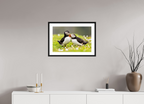 60 x 40 cm, Black Frames Puffin Love