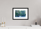 30 x 20 cm, Black Frames The Mystery of Caddo Lake Fine Art