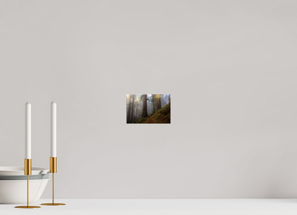 15 x 10 cm, Photo Print Under Acrylic Glass Redwood