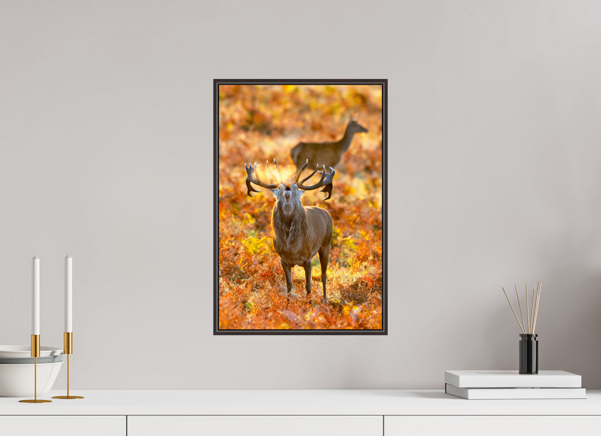 30 x 45 cm, Brown Floater Frame Deer R