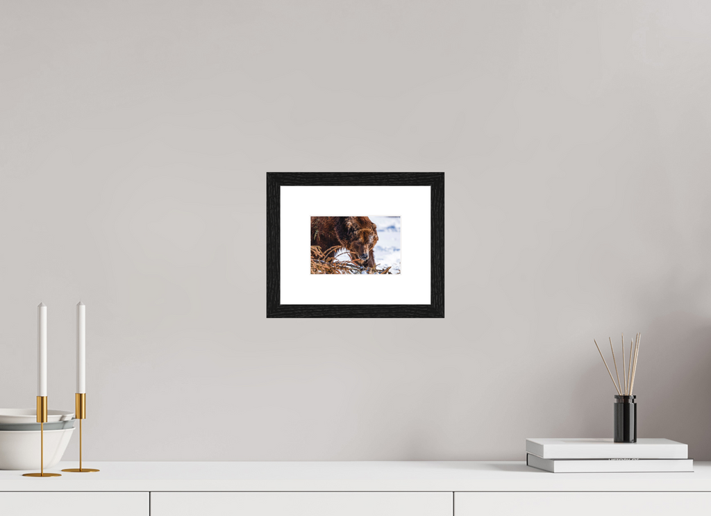 15 x 10 cm, Frame Test Config Alaskan Bear