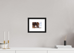 Alaskan Grizzly Bear Wall Art Example - Perfect Captures Photography