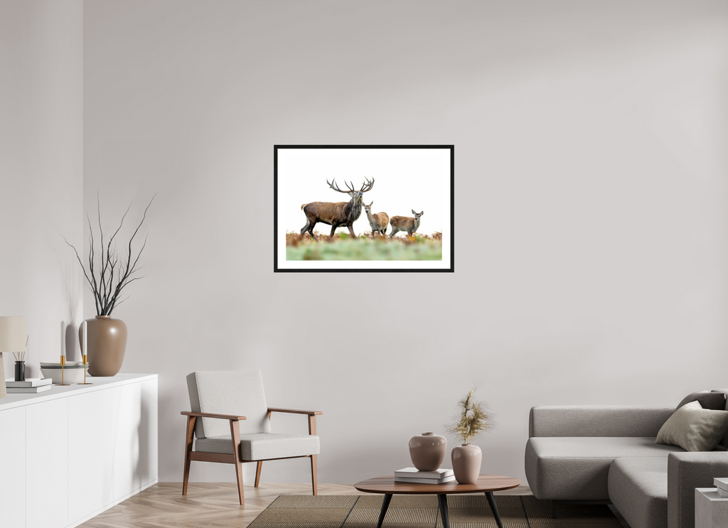 90 x 60 cm, Black Frames Deer Rut