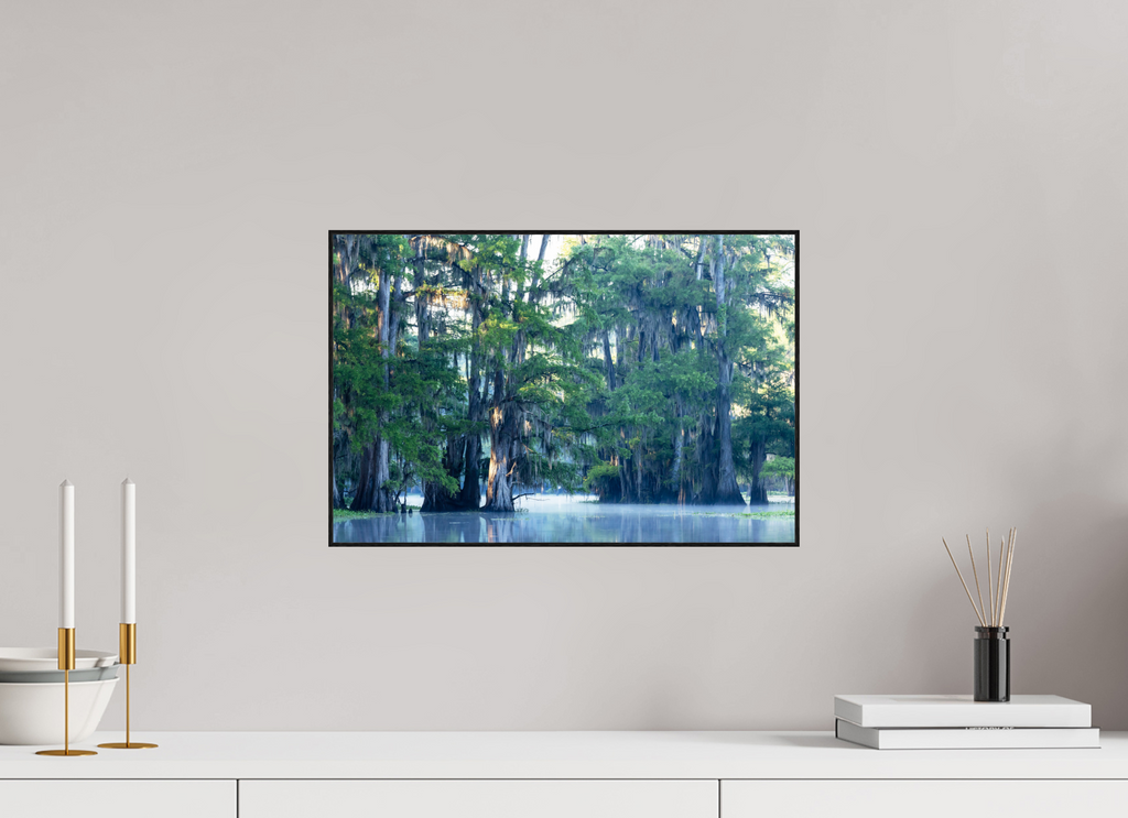 45 x 30 cm, Solid Wood Artbox The Mystery of Caddo Lake Fine Art