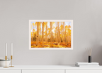 45 x 30 cm, White Hamburg Frame Golden Aspens