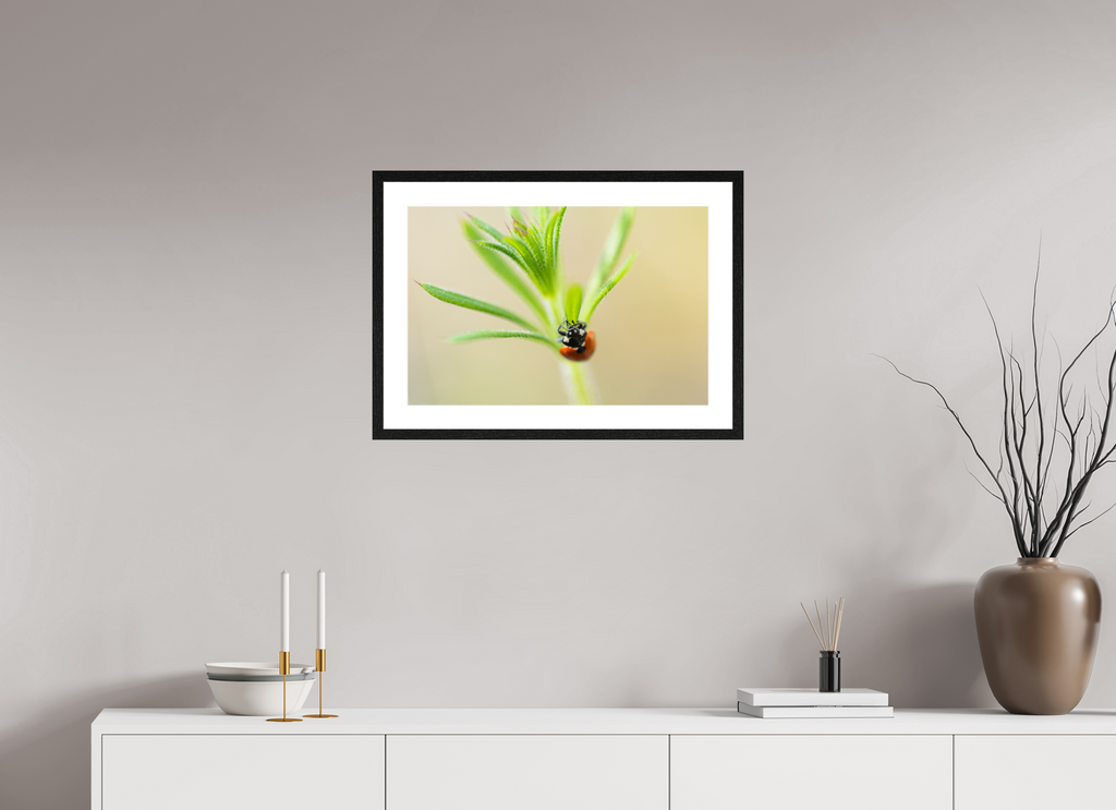 60 x 40 cm, Black Frames Lady Bird