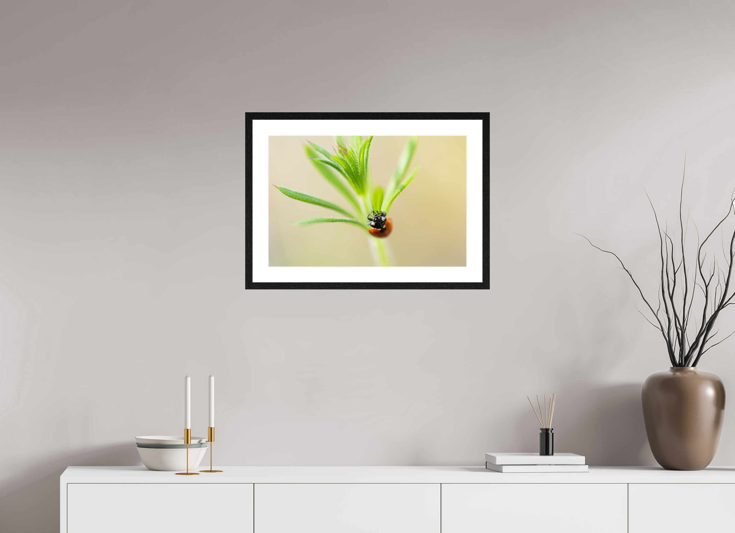 60 x 40 cm, Black Frames Lady Bird