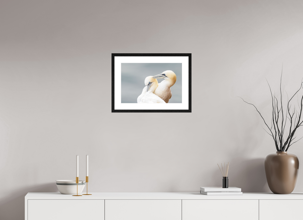 45 x 30 cm, Black Frames Ganetts