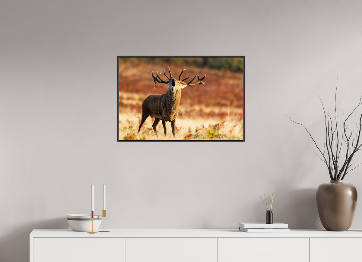 75 x 50 cm, Brown Floater Frame roaring deer