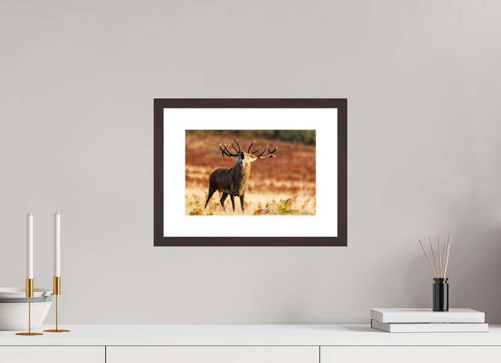 30 x 20 cm, Brown Frame deer