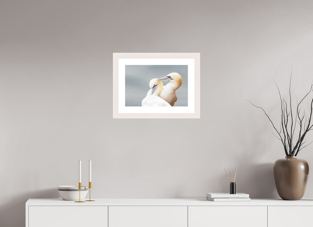 45 x 30 cm, White Frame Ganetts