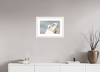 45 x 30 cm, White Frame Ganetts