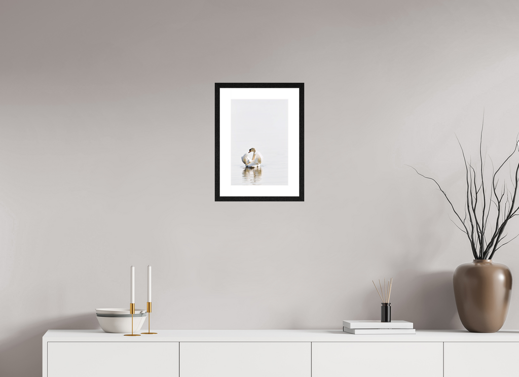 25 x 37.2 cm, Black Frames Swan at Dawn