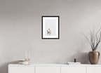 25 x 37.2 cm, Black Frames Swan at Dawn