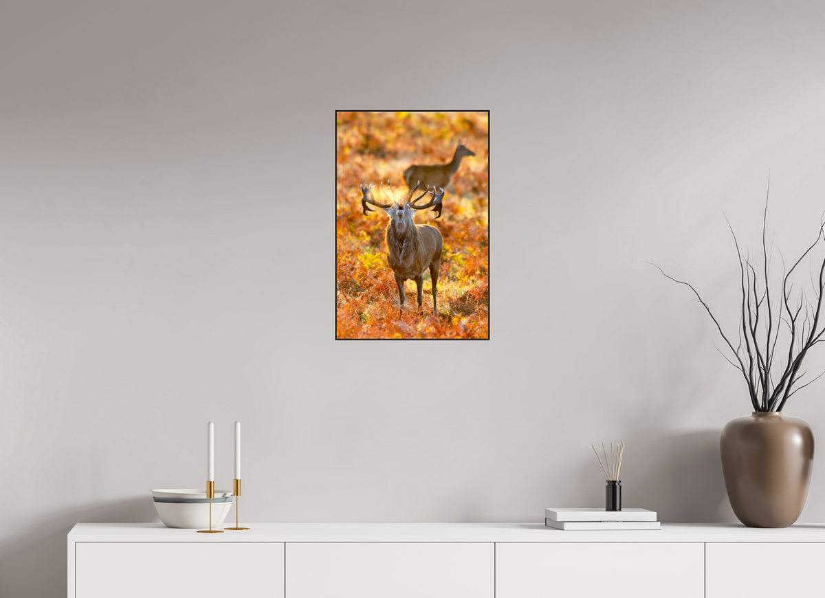 40 x 60 cm, Solid Wood Artbox deer rut