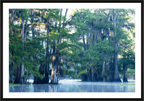 Main image The Mystery of Caddo Lake Fine Art