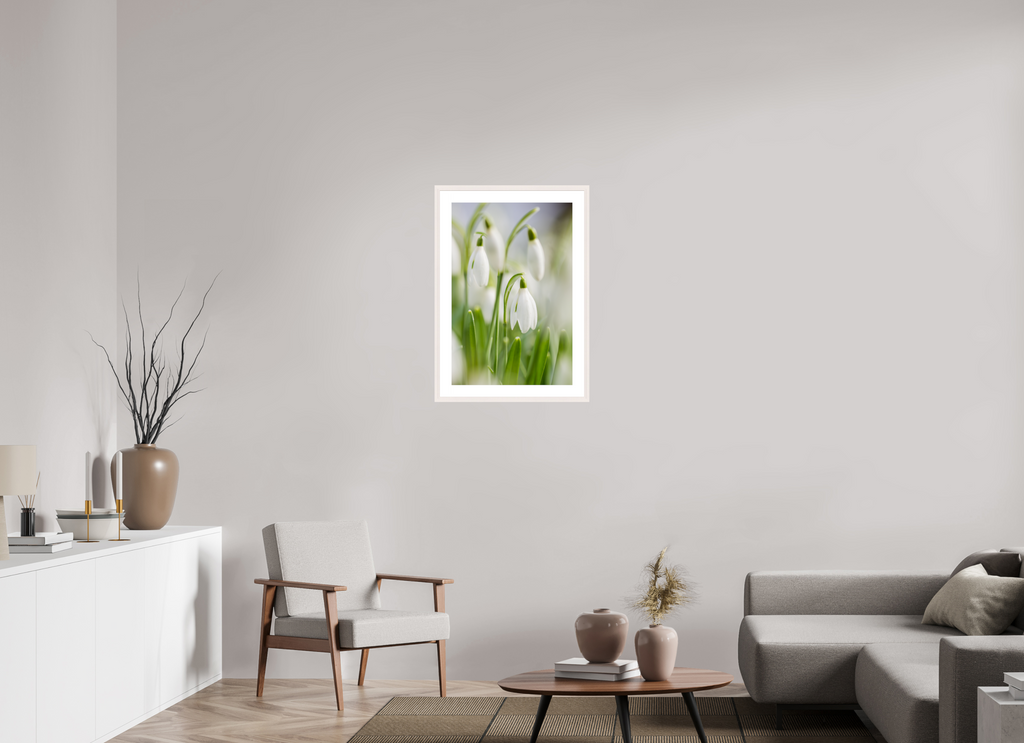 50 x 75 cm, White Maple 20 mm snowdrops