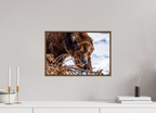 Alaskan Grizzly Bear Wall Art Example - Perfect Captures Photography