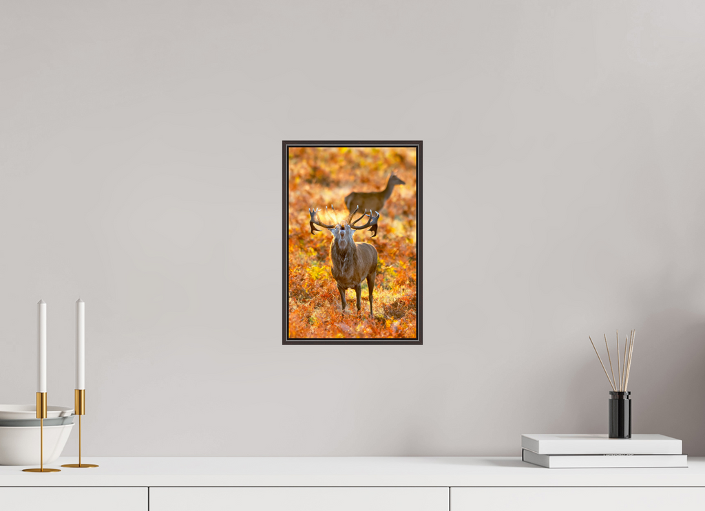 20 x 30 cm, Brown Floater Frame Deer R