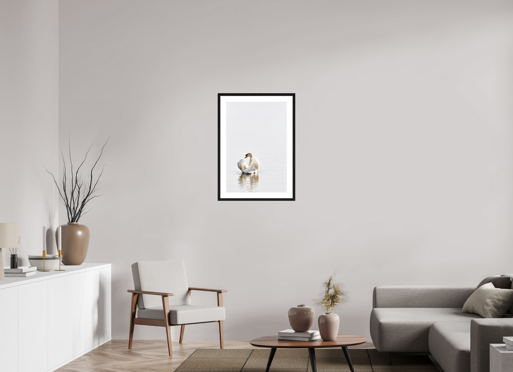 50 x 74.3 cm, Black Frames Swan at Dawn