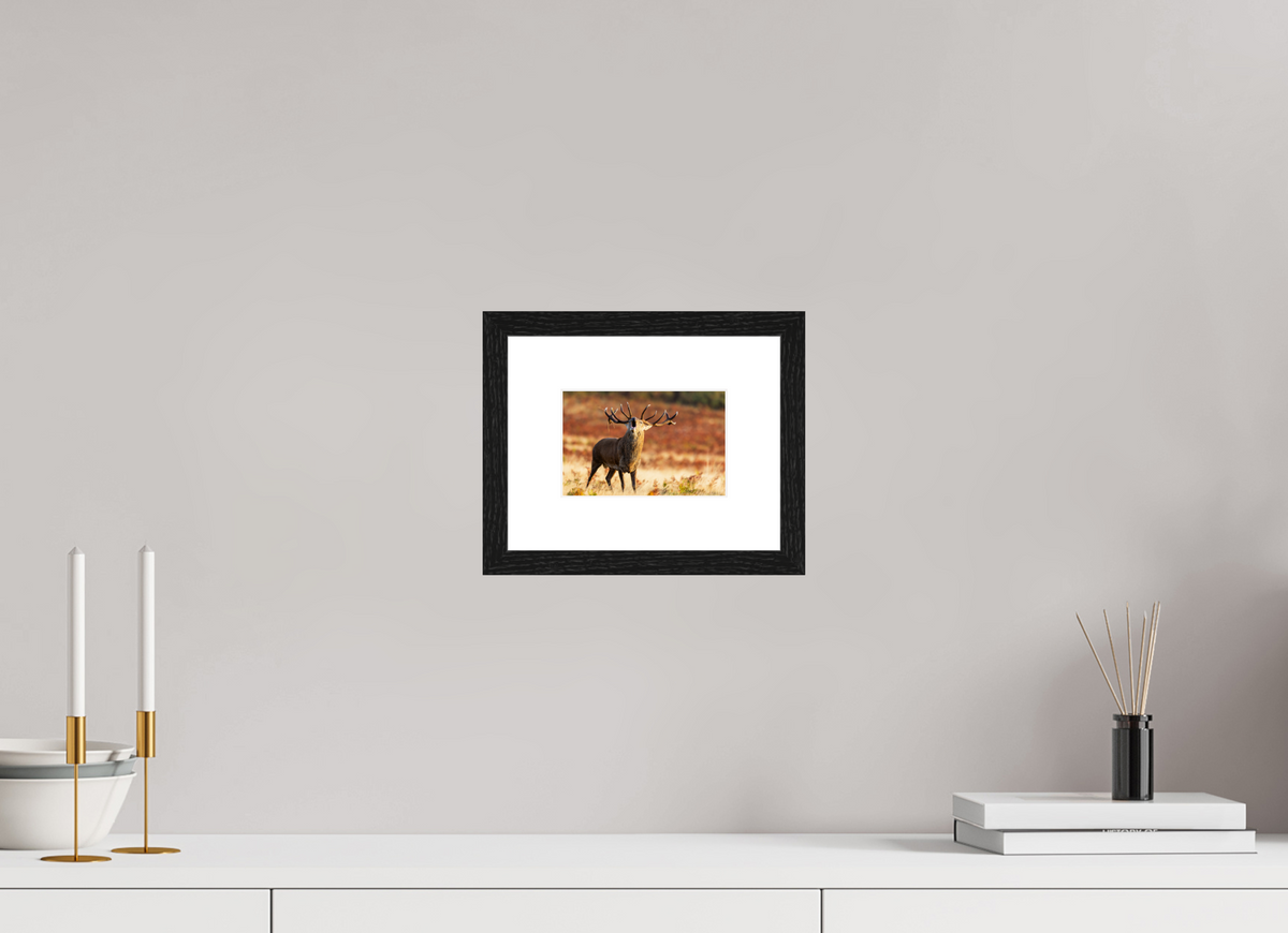 15 x 10 cm, Black Frames deer