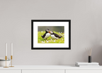 30 x 20 cm, Black Frames Puffin Love