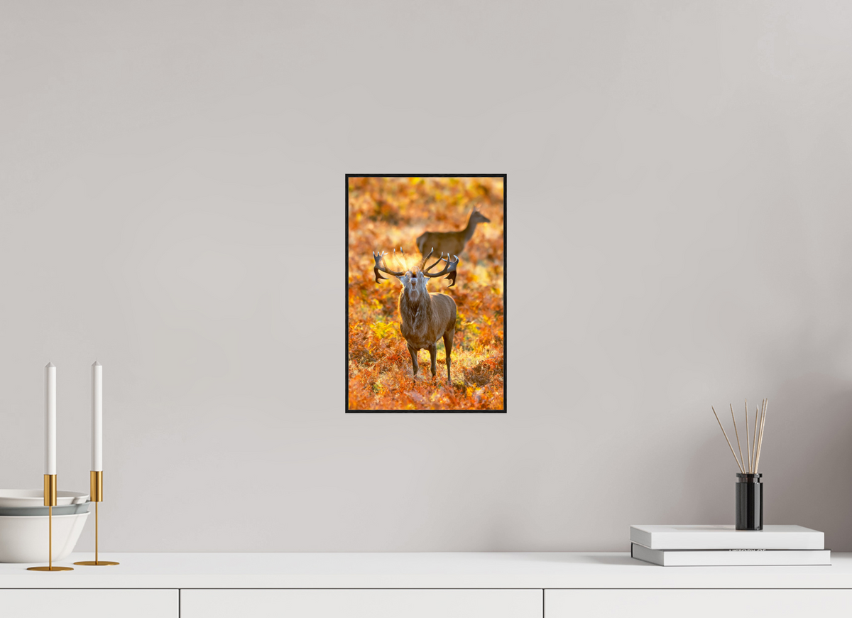 20 x 30 cm, Solid Wood Artbox deer rut