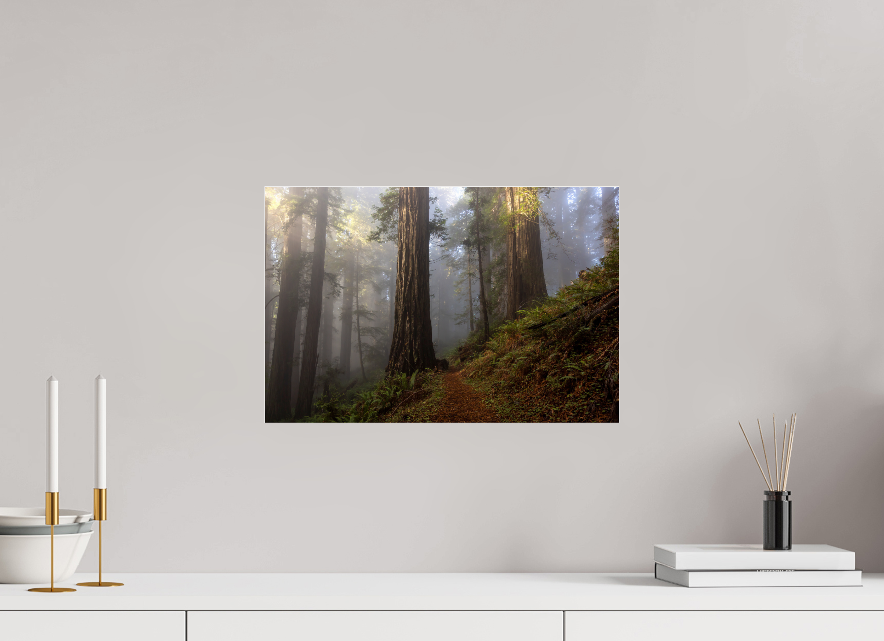 45 x 30 cm, Photo Print Under Acrylic Glass Redwood