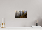 30 x 20 cm, Photo Print Under Acrylic Glass Redwood