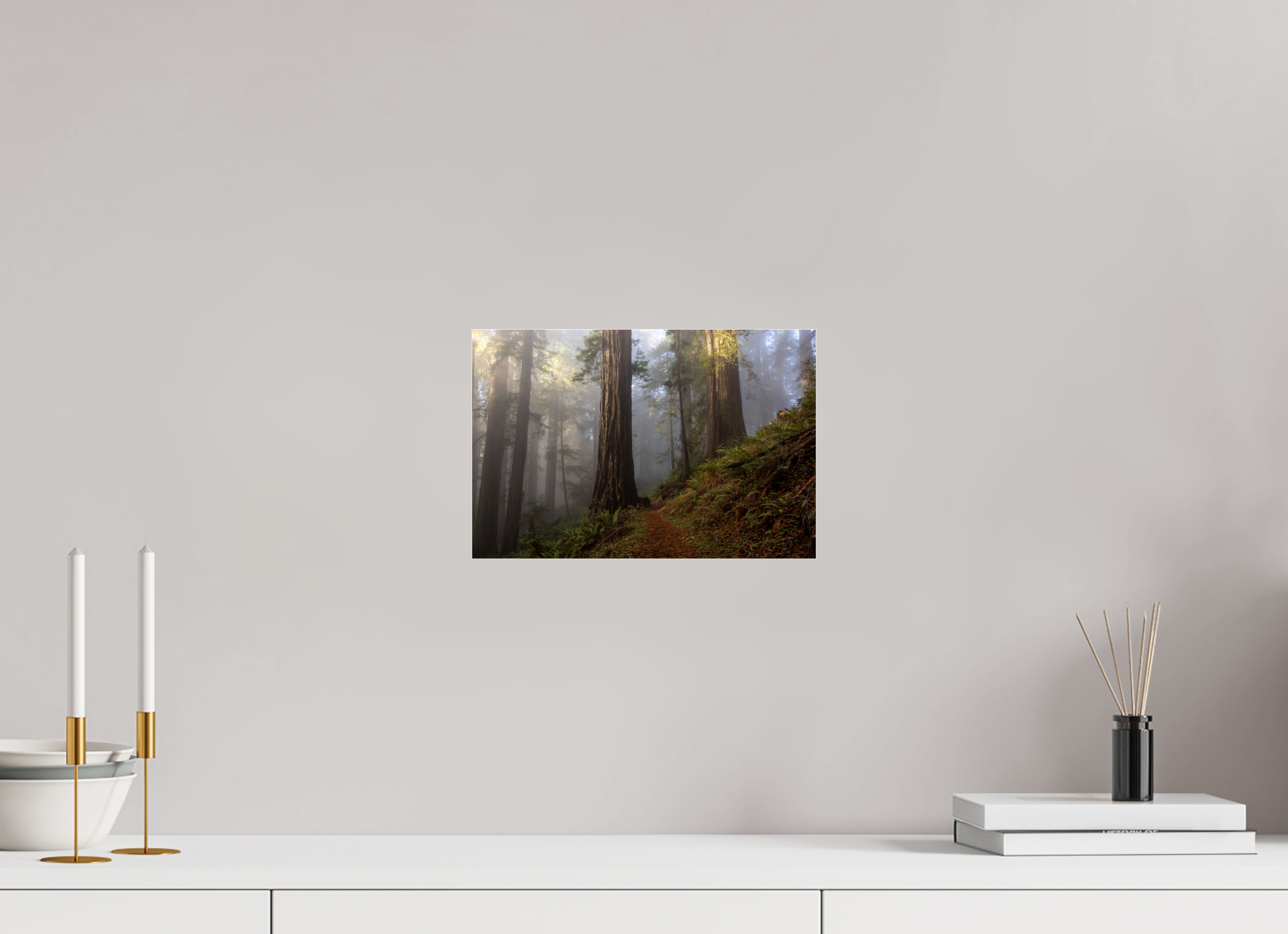 30 x 20 cm, Photo Print Under Acrylic Glass Redwood