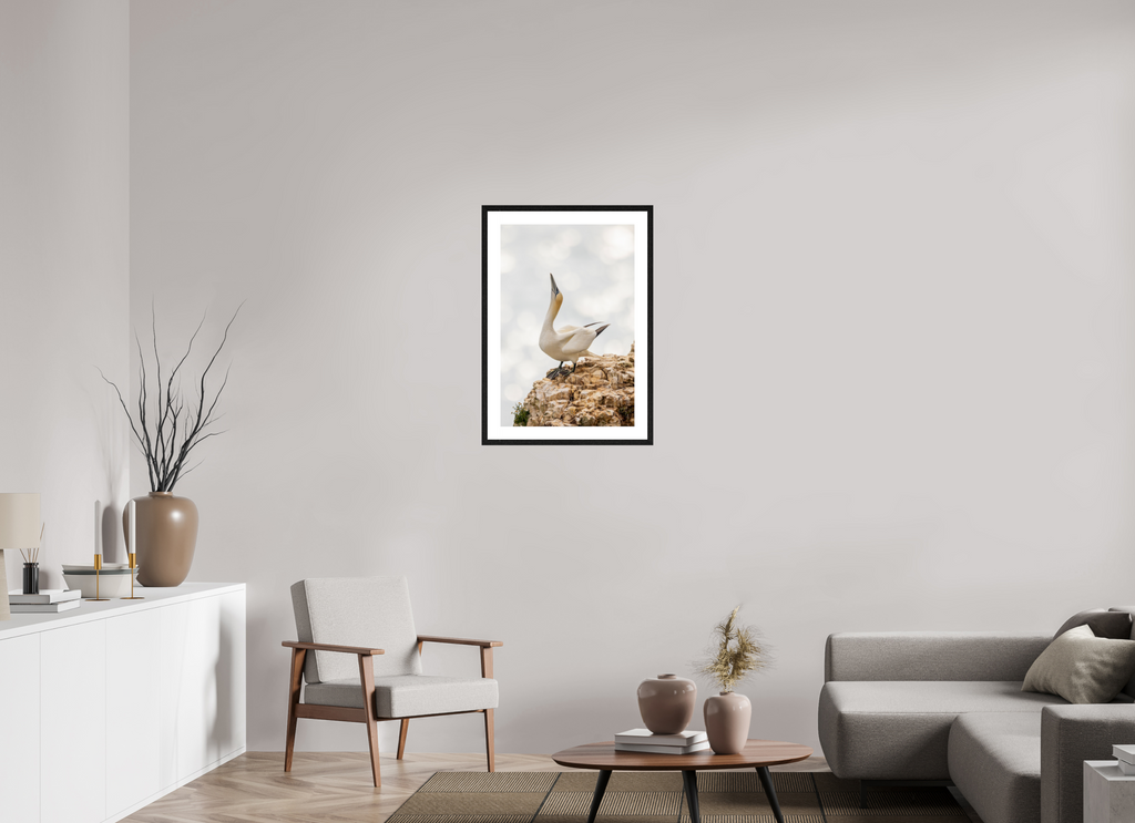 50 x 75 cm, Black Frames Gannet Strut