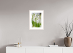 30 x 45 cm, White Maple 20 mm snowdrops
