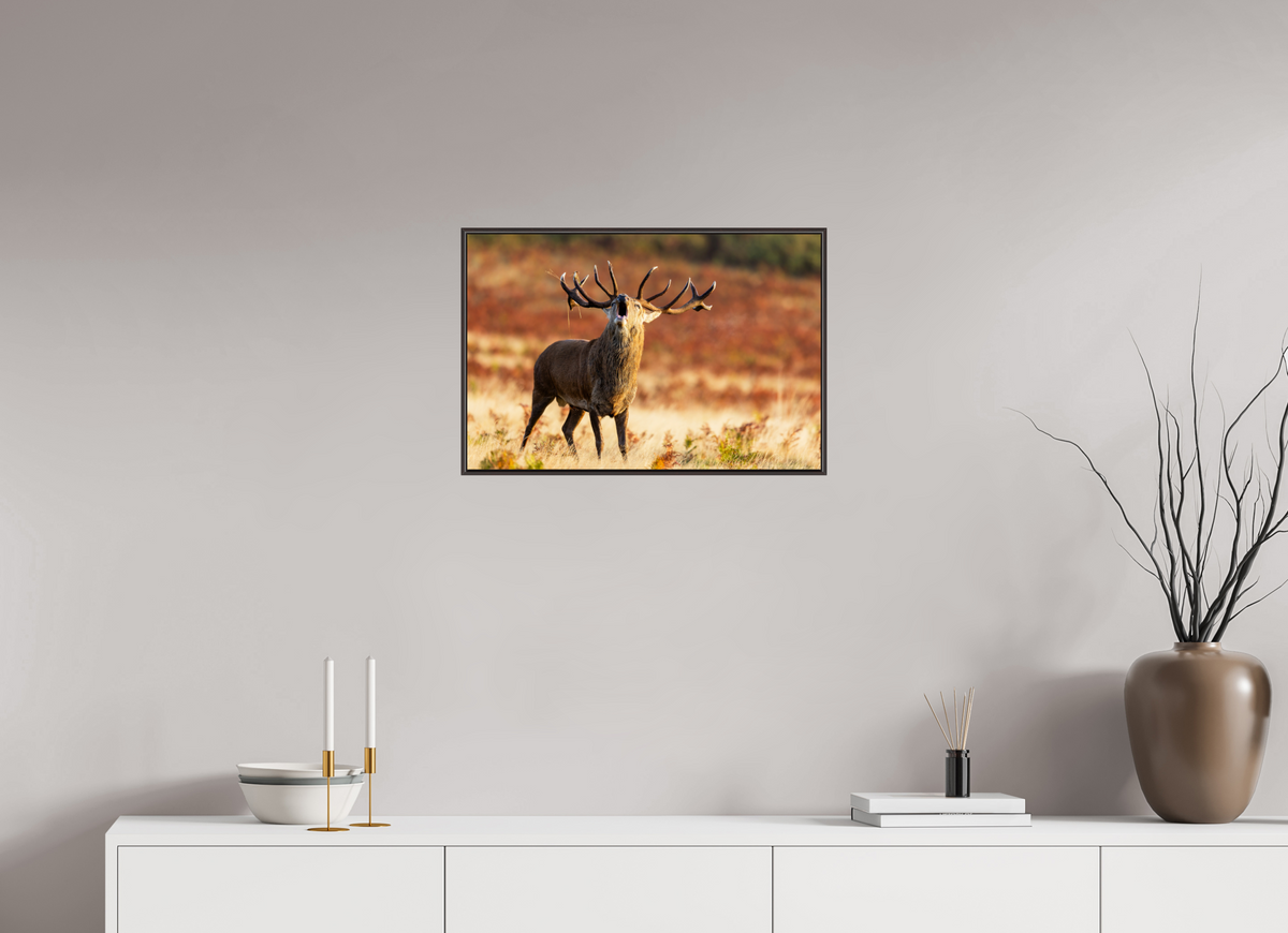 60 x 40 cm, Brown Floater Frame deer