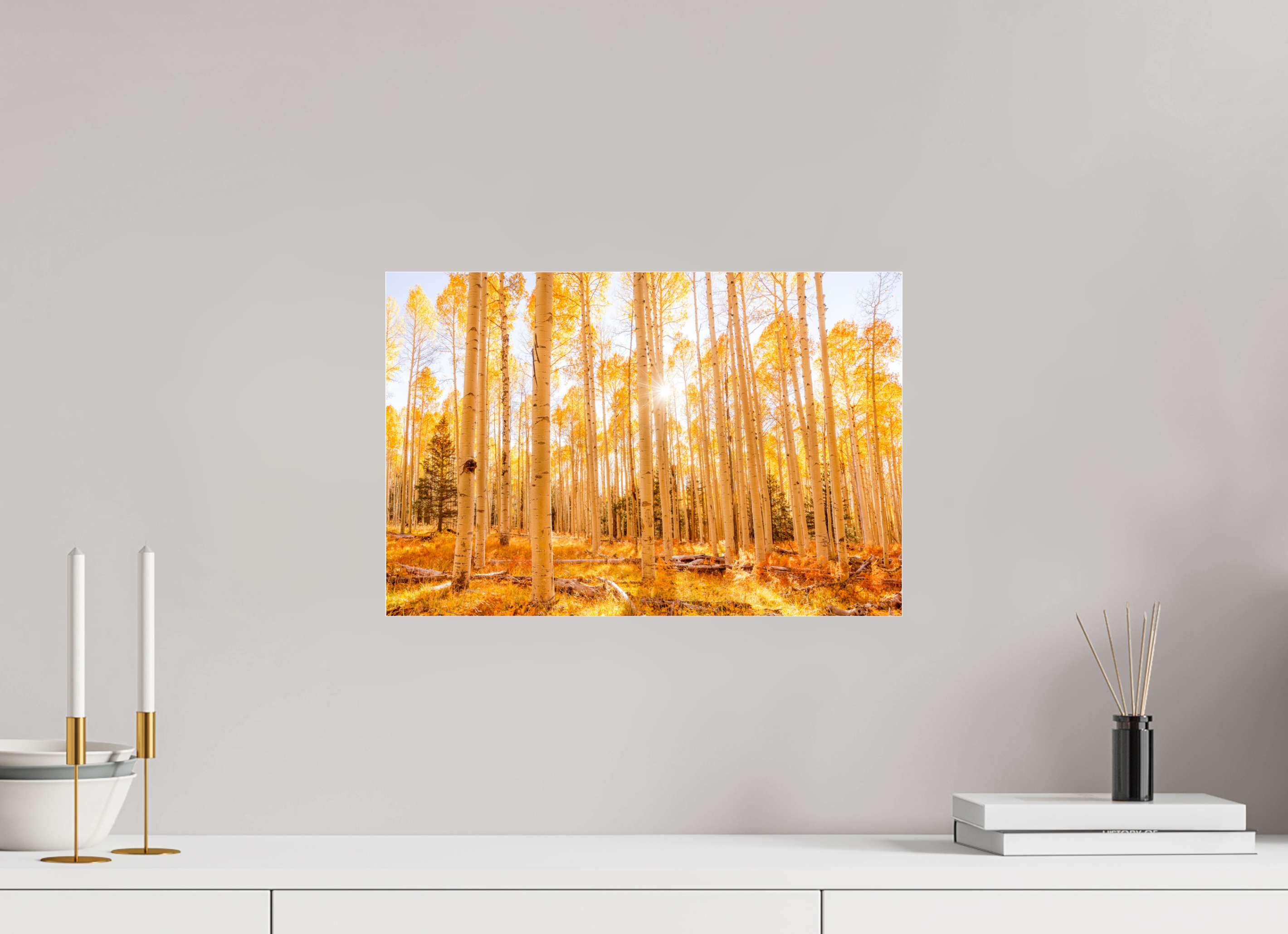 45 x 30 cm, Photo Print Under Acrylic Glass Golden Aspens