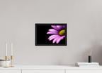 30 x 20 cm, Floater Frame Pink Petals