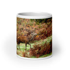 Red Stag wondering through the Autumnal colours in Leicestershire Mug - Perfect Captures Photography